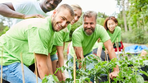 Community Action: How You Can Help