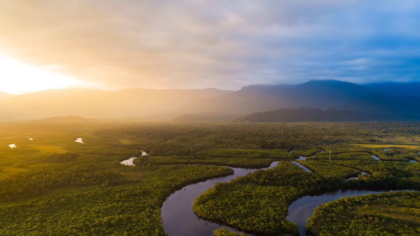 From office to the the Amazon